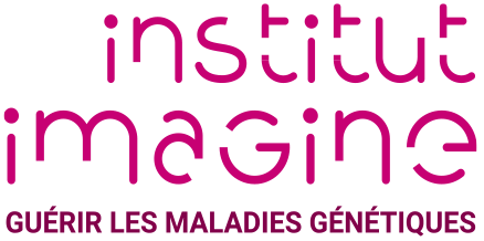 Logo Imagine